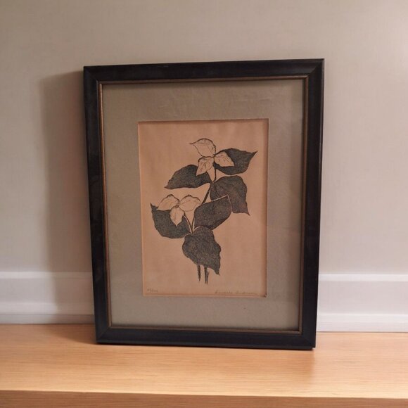Hand Signed Annarae Anderson Print 25 of 500 Botanical Illustration Black Frame - Picture 1 of 4